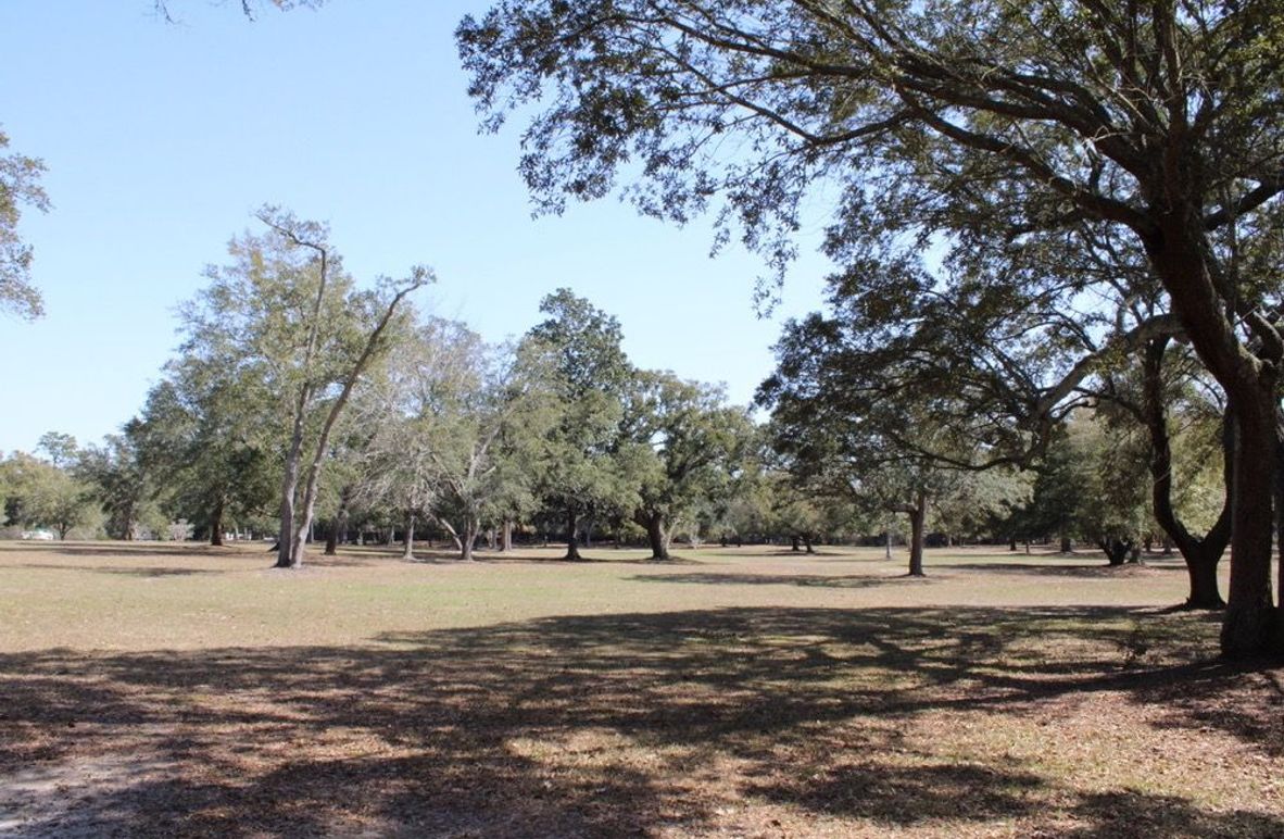 07CBD972-4E05-494C-9230-69D3BFDC4C51_1_105_c-2