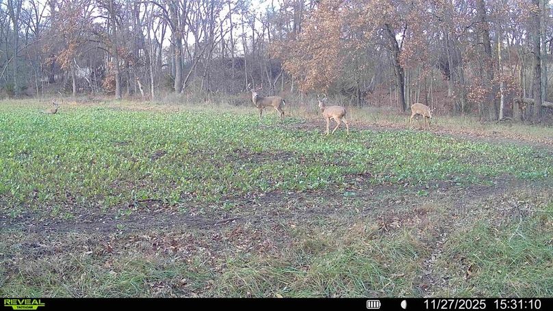 016578004289598-82-2-11272025163958-HD-SYFW00728