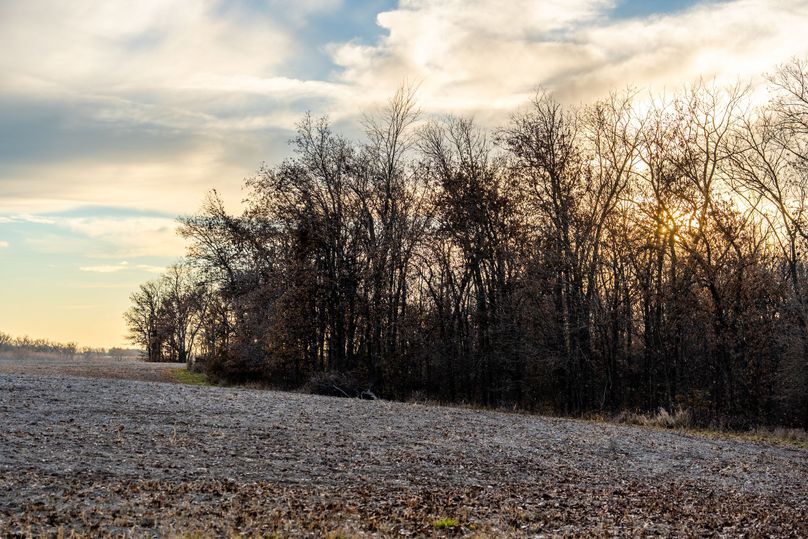 _A749388-HDR