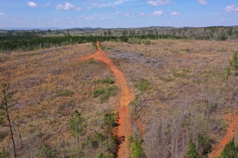 Copy of 100ftEntrance-2