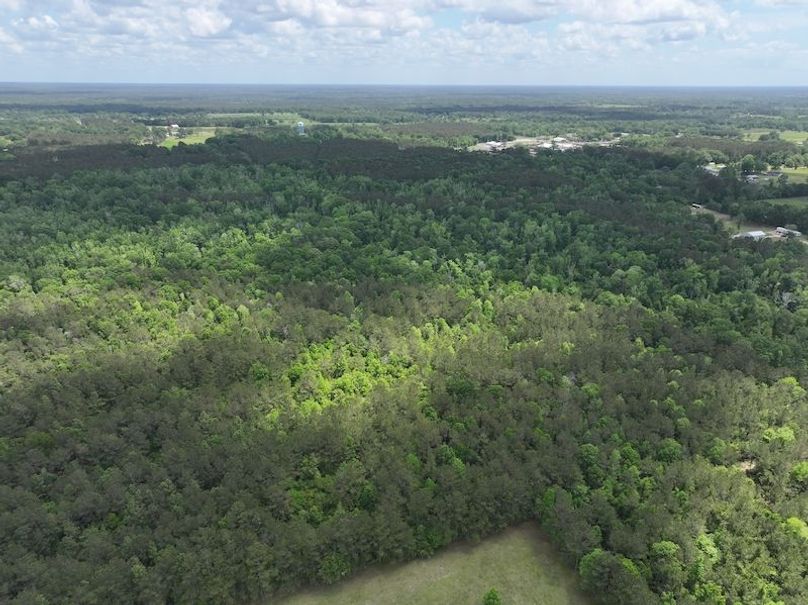 dji_fly_20260413_114608_0038_1776114934934_photo