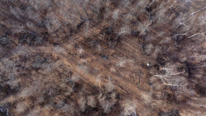 DJI_20260211162129_0006_D