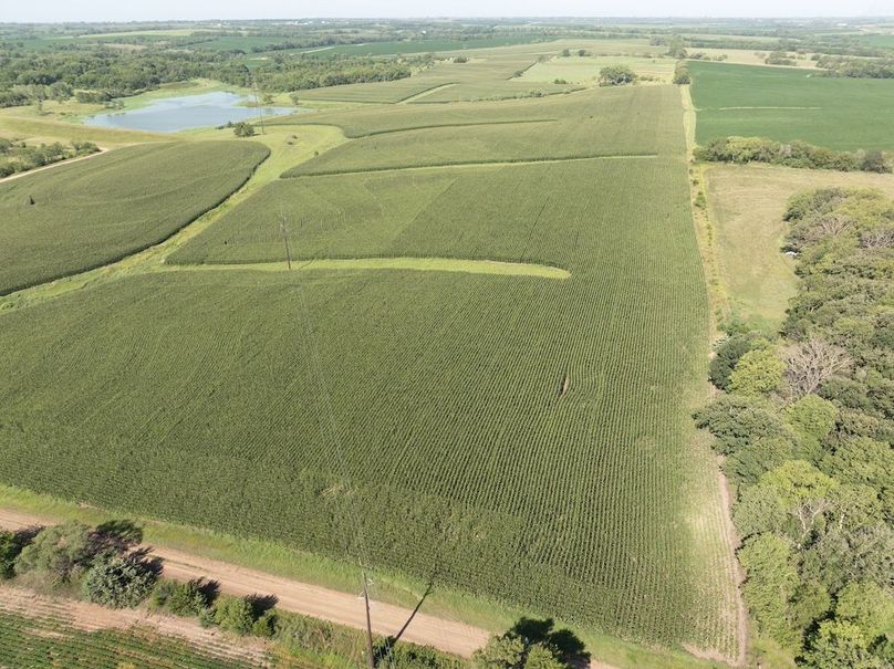 DJI_20250729100854_0059_D