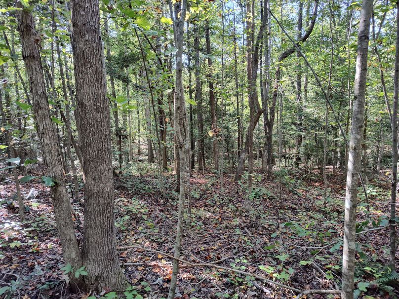 IMG_20231009_150832983_HDR