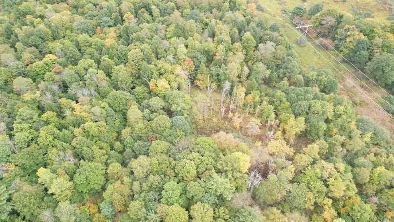 dji_fly_20240926_133558_733_1727372580835_photo