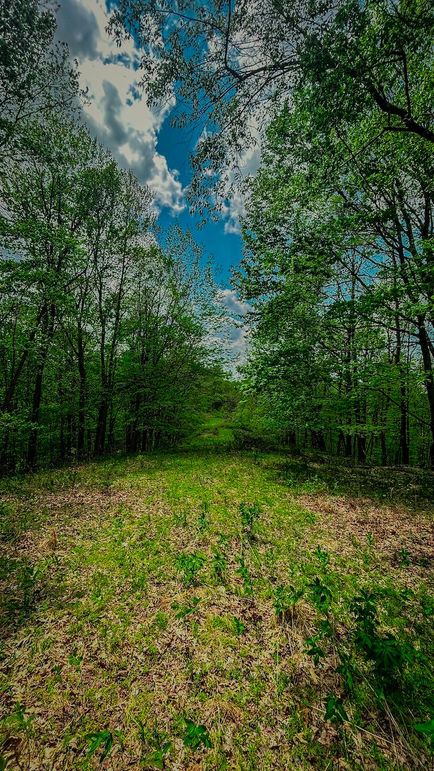 Doddridge, WV 64.69 AC Davis-21