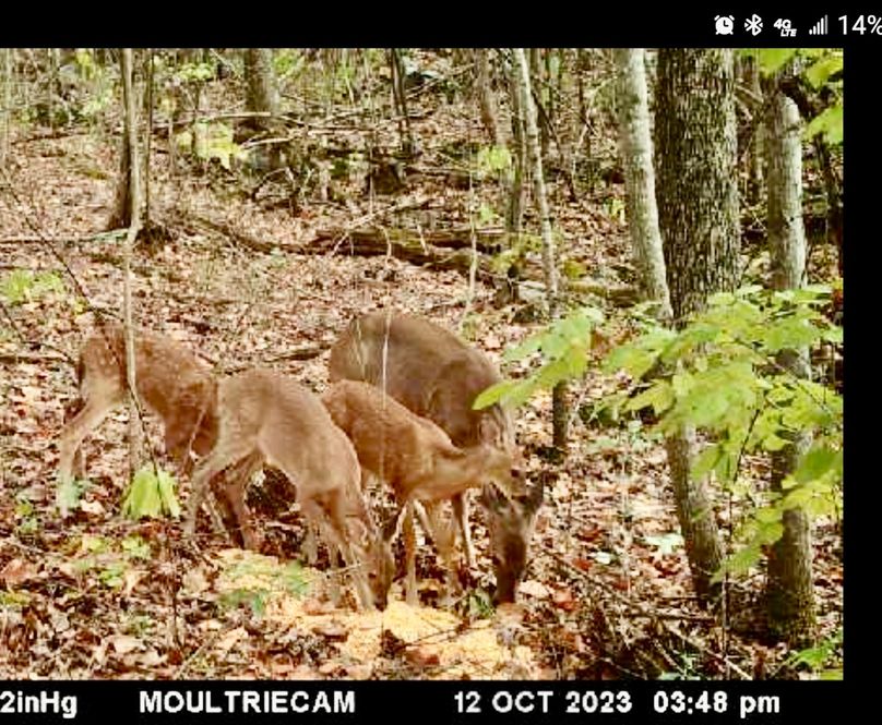 Screenshot_20231012_160416