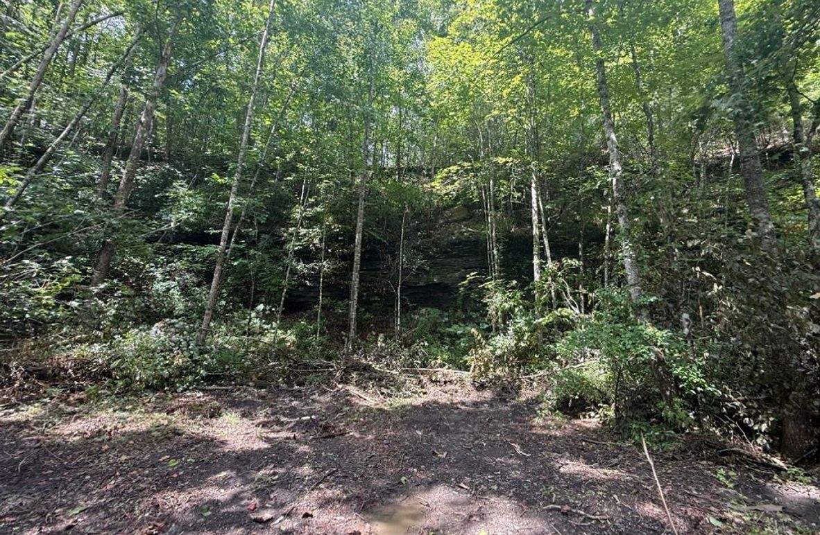 006 large rock cliff area in the south portion of the property