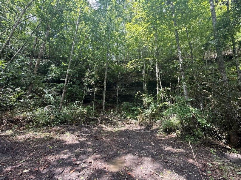 006 large rock cliff area in the south portion of the property