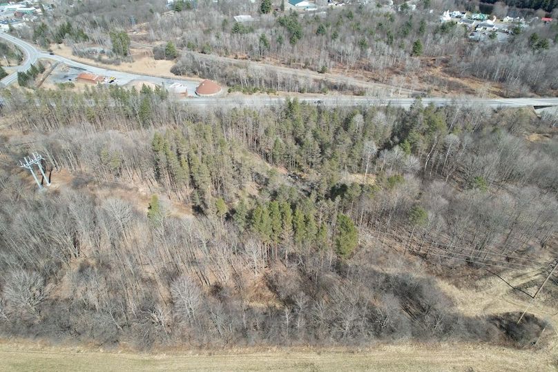 Lewis_26_Somberg Photo 26