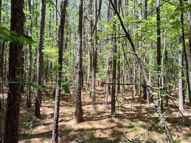 IMG_20250524_121447795_HDR