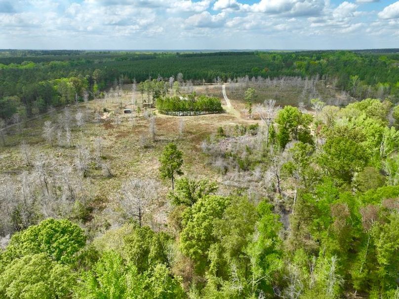 dji_fly_20250403_152540_673_1743708452633_photo