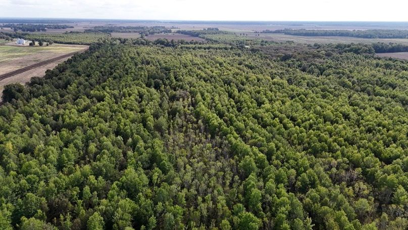 DJI_20251009043652_0783_D