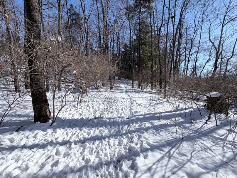 2.Copy of Tract 2  Incredible deer trail and tracks on Ridgeslope  Large