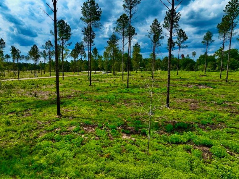 B34A693F-2B45-414D-A1A3-215EC298D389_1_105_c