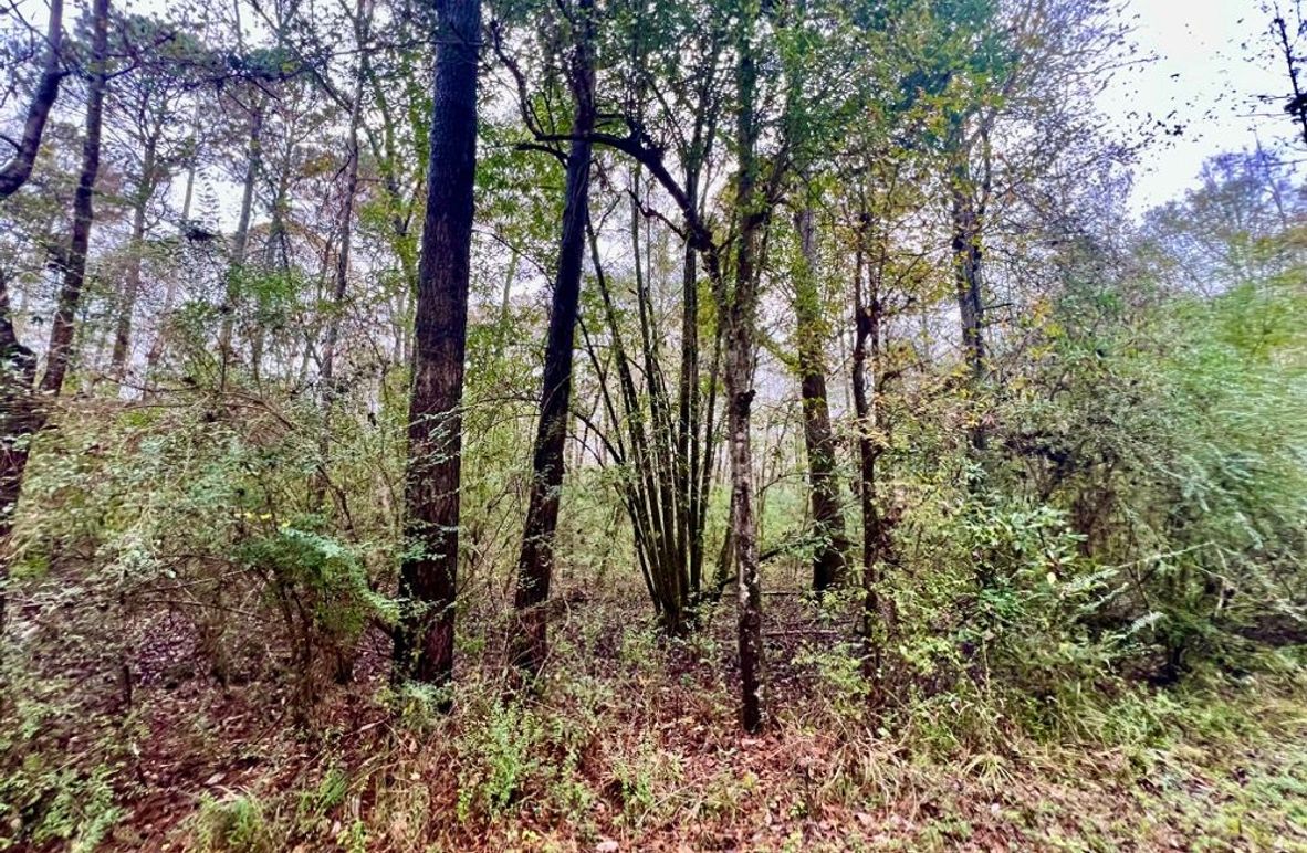 1A39786E-631B-4E24-90EC-ADEF97AE9FB8_1_201_a