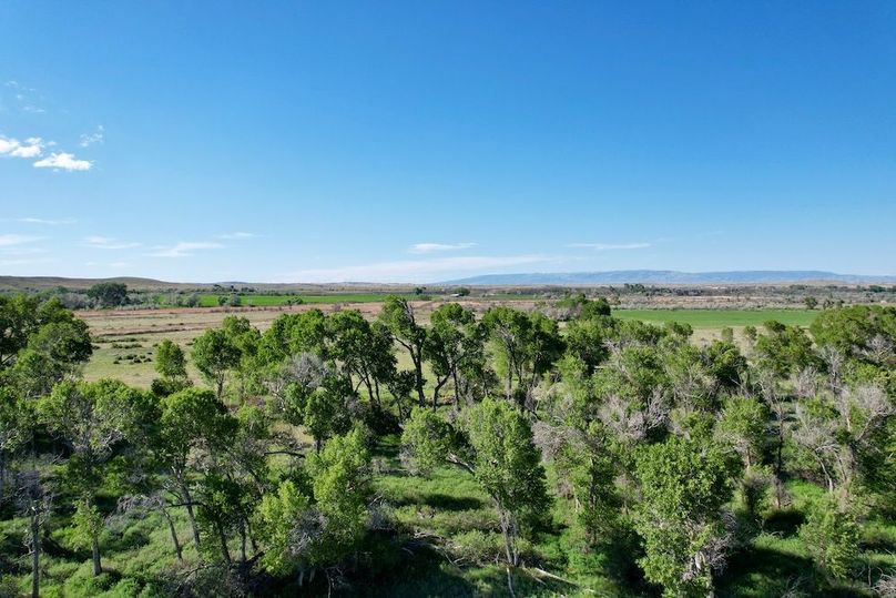 CD3B5DFB-61FC-46A8-8BAD-3528D1218114_1_201_a