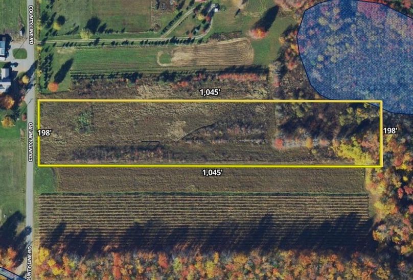 Land ID Wetlands