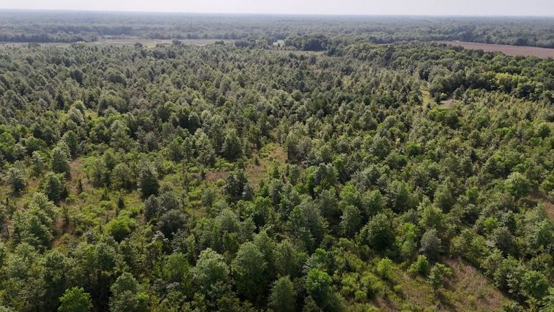 DJI_20250802224539_0572_D