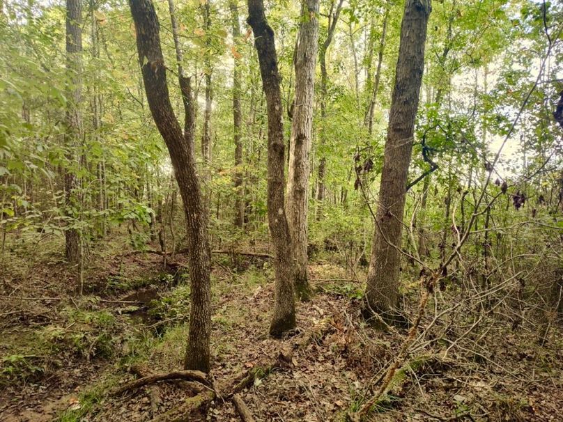 IMG_20250914_170545426_HDR