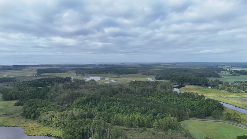 IMG22_60AC_dji_fly_20250811_083158_0002_1754945067739_photo