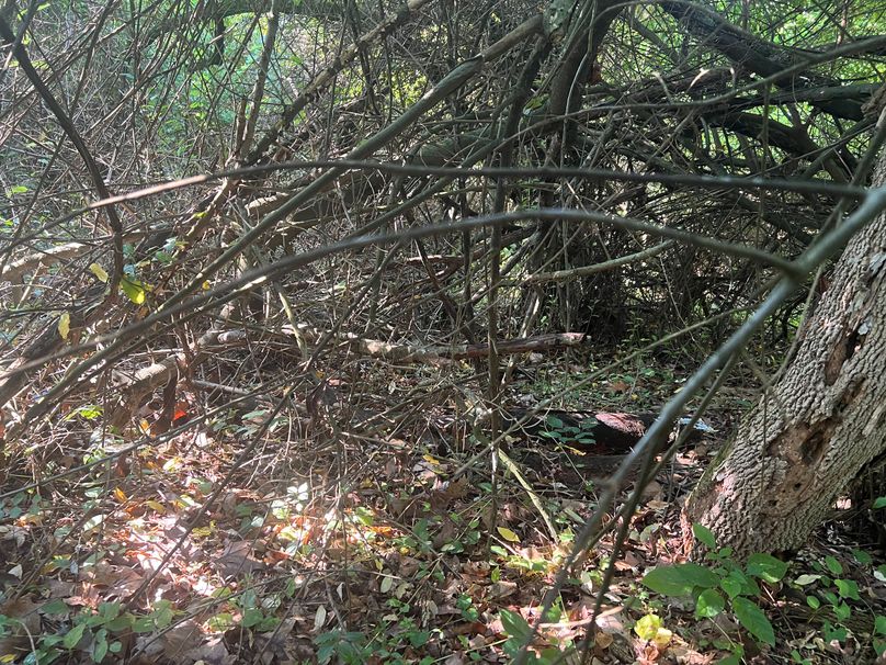 Wirt, WV 150.75 AC Tinnell-60