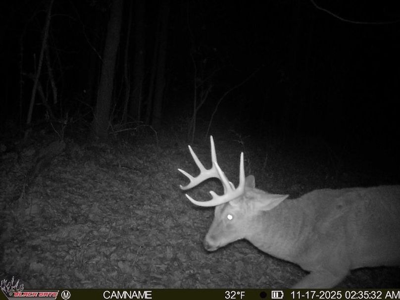 B8BE8EAF-88B3-4A4D-A8A8-40B73159A139