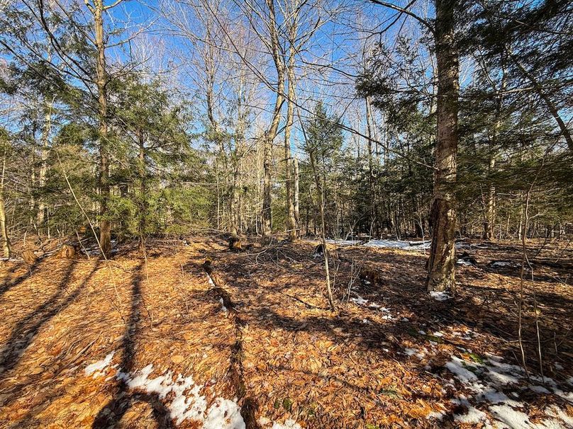 Oswego_16.32_Phillips Photo 19