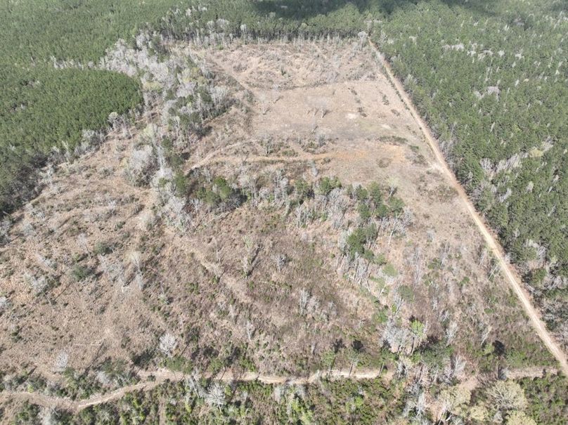 dji_fly_20260303_140204_300_1772637926173_photo