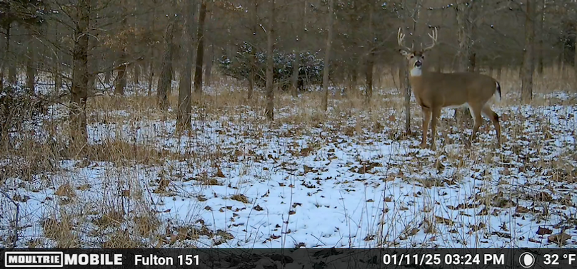 H Screen Shot 2025-07-16 at 12.48.41 AM