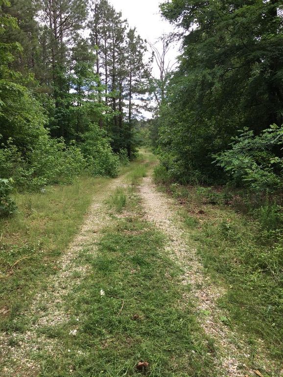 3FA10F7D-7290-4E76-B6BD-33191BEEBFAA_1_105_c