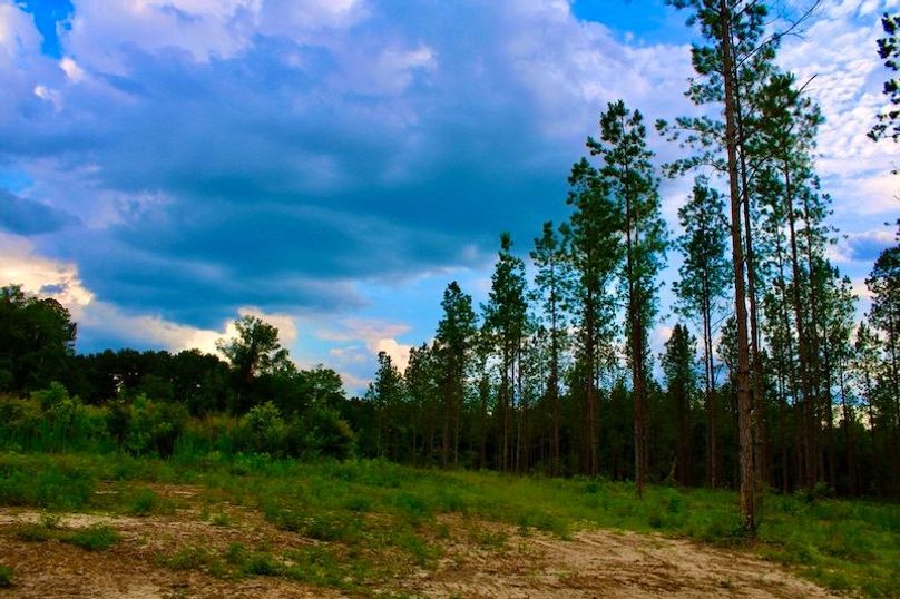 228B7939-AE54-4CCF-BE9F-0B018B009022_1_105_c