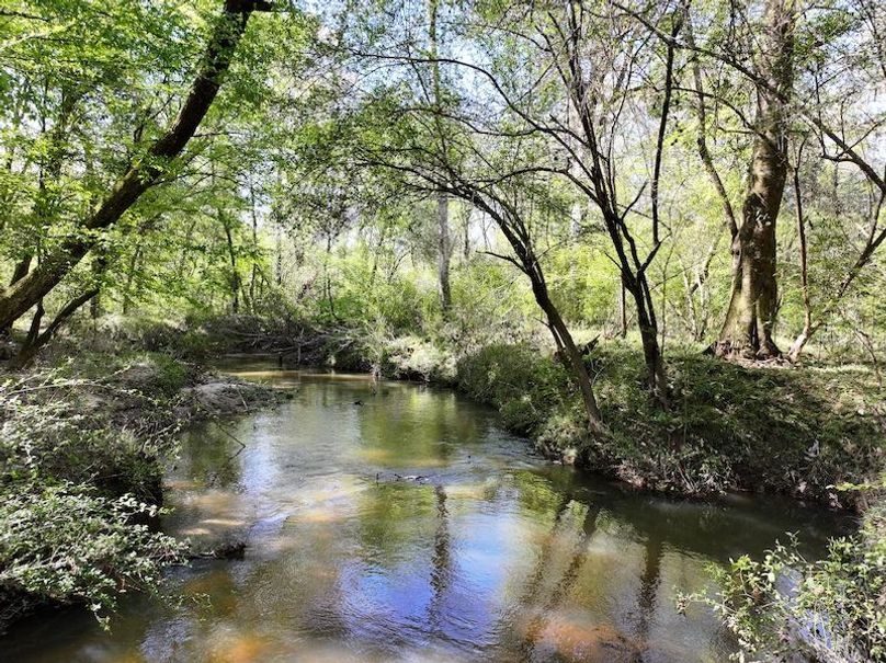 dji_fly_20260317_093344_0407_1773768874732_photo