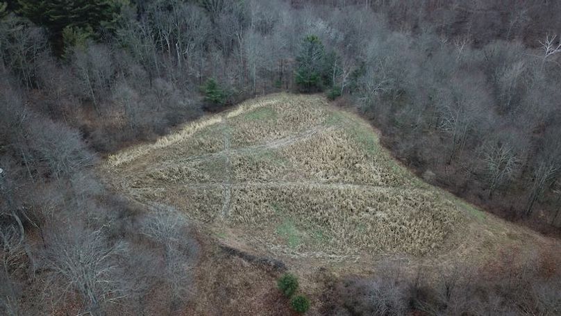 org_e86598bfc4330b23_1767819932000