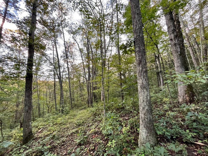 Tioga_20_Peters Photo 12