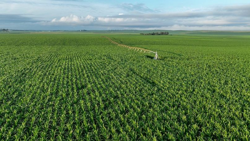 Copy of Copy of DJI_0382