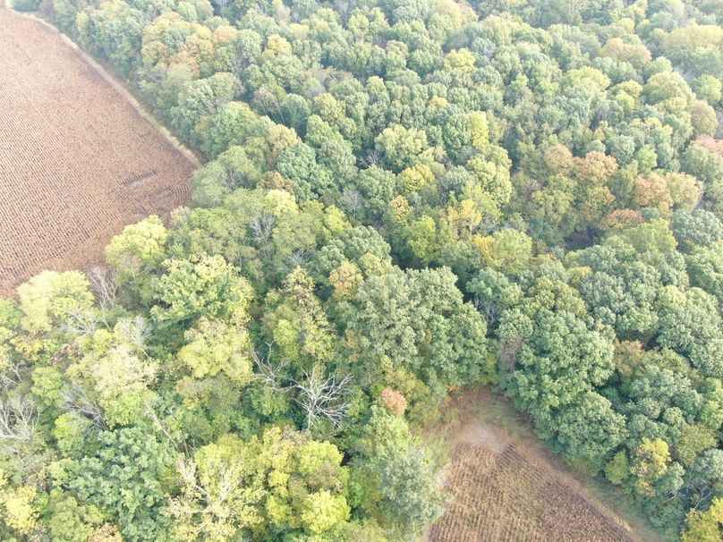 DJI_0846