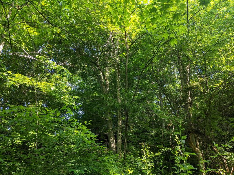 PXL_20230602_132248292