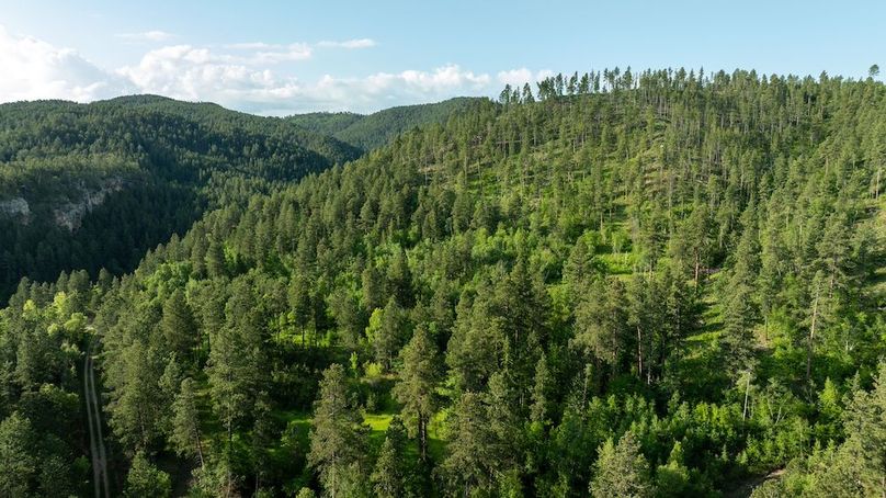 Lawrence SD 50 Featured_ProPhoto-18