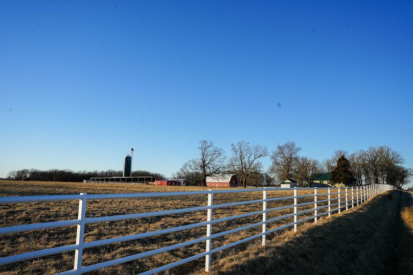 DSC02459bluestem