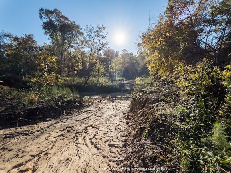 Claiborne Co-189-Geronimo-31