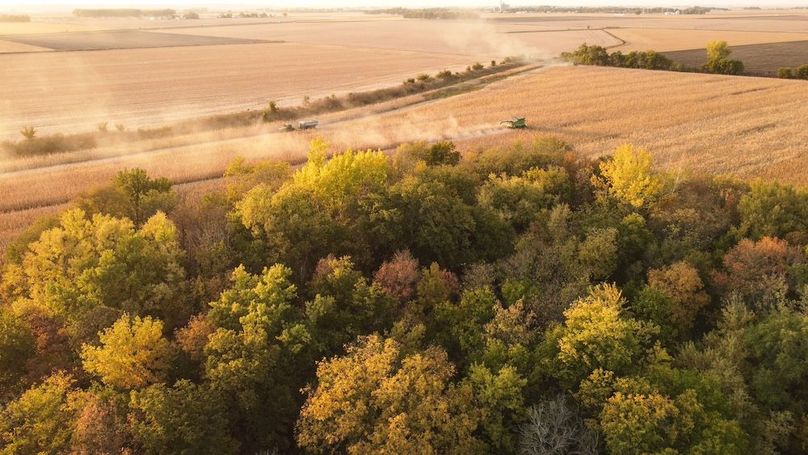 MONONA CO IA 8.35_20