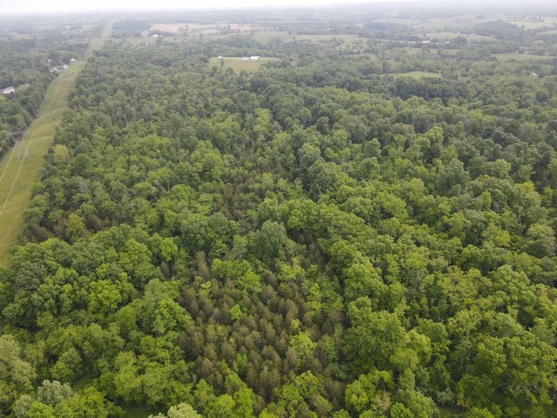 DJI_0543_W
