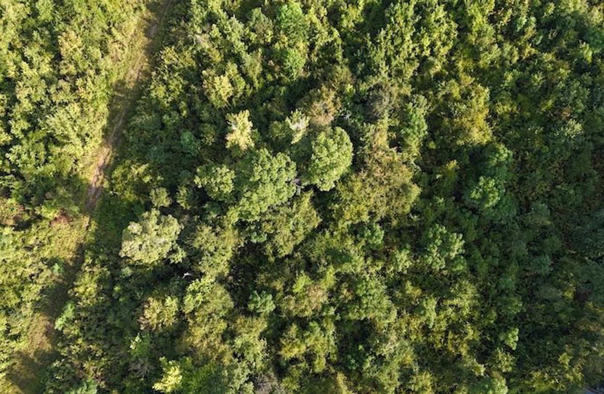 Copy of DJI_20250814085155_0055_D