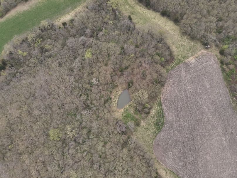 DJI_20250424131545_0012_V