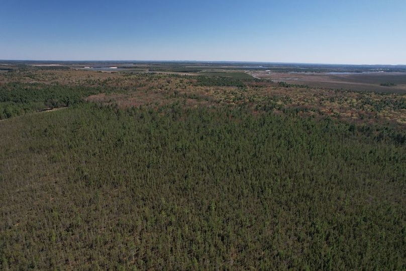 DJI_0050