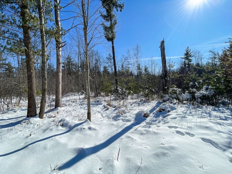 Portage 13.596, Van Asten-22