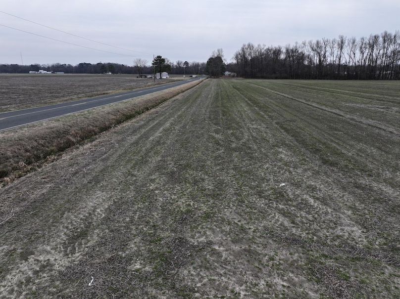 DJI_20260213134306_0509_D