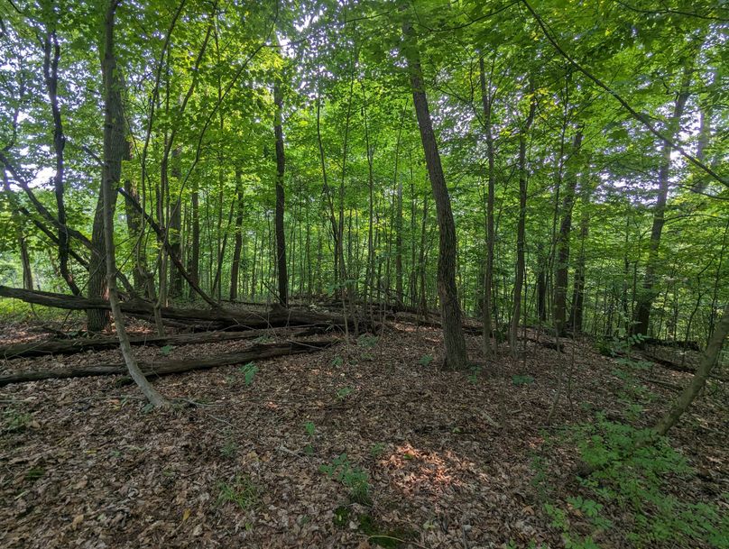 PXL_20230801_151621147