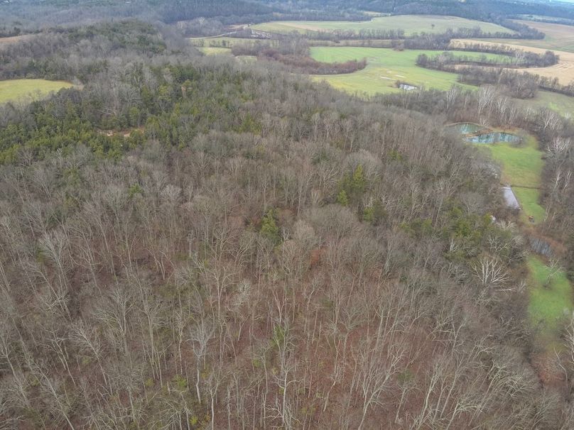 3-DJI_20251210161421_0031_W